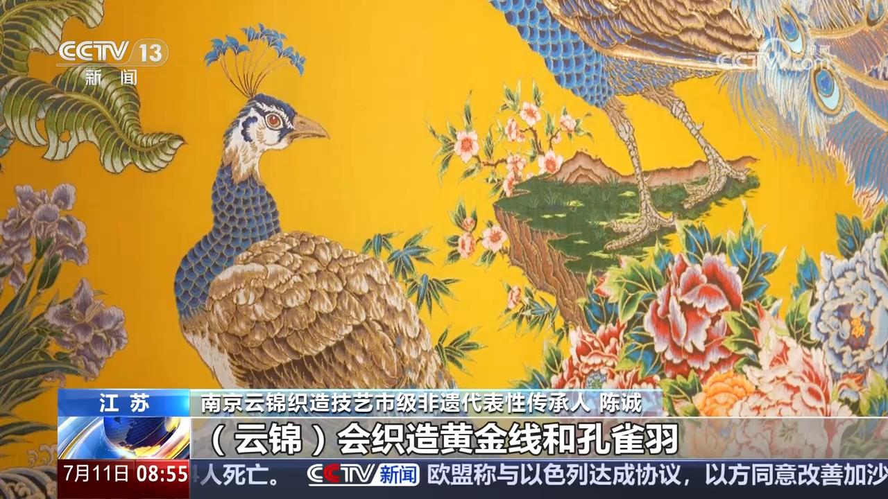 风雅揭开沉睡700多年的时尚密码冰球突破从传统丝织工艺中的宋代(图6)